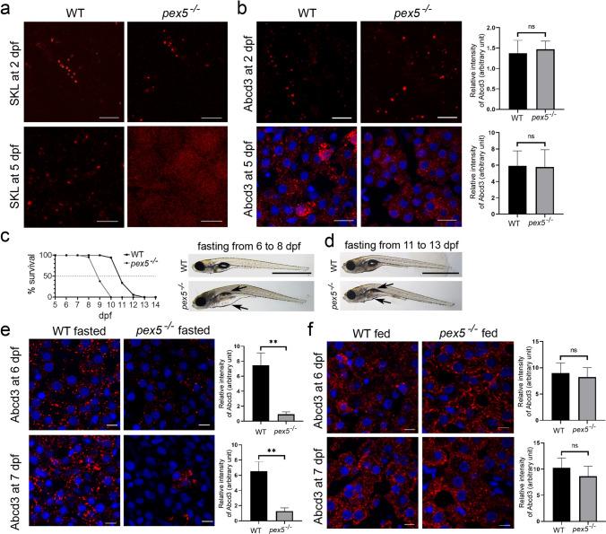 https://cdn.ncbi.nlm.nih.gov/pmc/blobs/6ca2/11071959/60fdc38a7cf3/18_2023_4700_Fig2_HTML.jpg