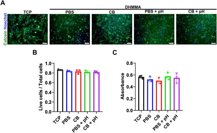 https://cdn.ncbi.nlm.nih.gov/pmc/blobs/6ca2/12198208/9aa446dc867f/fbioe-13-1579246-g007.jpg