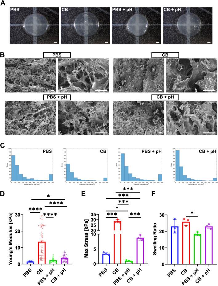 https://cdn.ncbi.nlm.nih.gov/pmc/blobs/6ca2/12198208/af2814b287f3/fbioe-13-1579246-g003.jpg