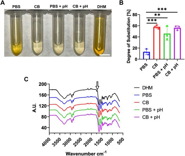 https://cdn.ncbi.nlm.nih.gov/pmc/blobs/6ca2/12198208/b621107f25c8/fbioe-13-1579246-g002.jpg