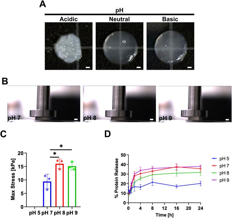 https://cdn.ncbi.nlm.nih.gov/pmc/blobs/6ca2/12198208/d6aab1599280/fbioe-13-1579246-g006.jpg