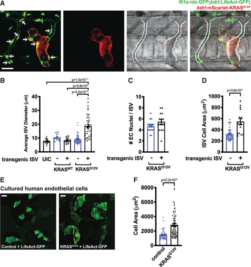 https://cdn.ncbi.nlm.nih.gov/pmc/blobs/6ca2/7447191/a3cf8f0b9446/res-127-727-g004.jpg