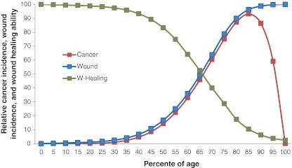 https://cdn.ncbi.nlm.nih.gov/pmc/blobs/6ca3/3350627/777cdaa12897/10555_2011_9342_Fig3_HTML.jpg