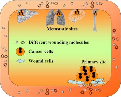 https://cdn.ncbi.nlm.nih.gov/pmc/blobs/6ca3/3350627/f97f08f8557b/10555_2011_9342_Fig6_HTML.jpg