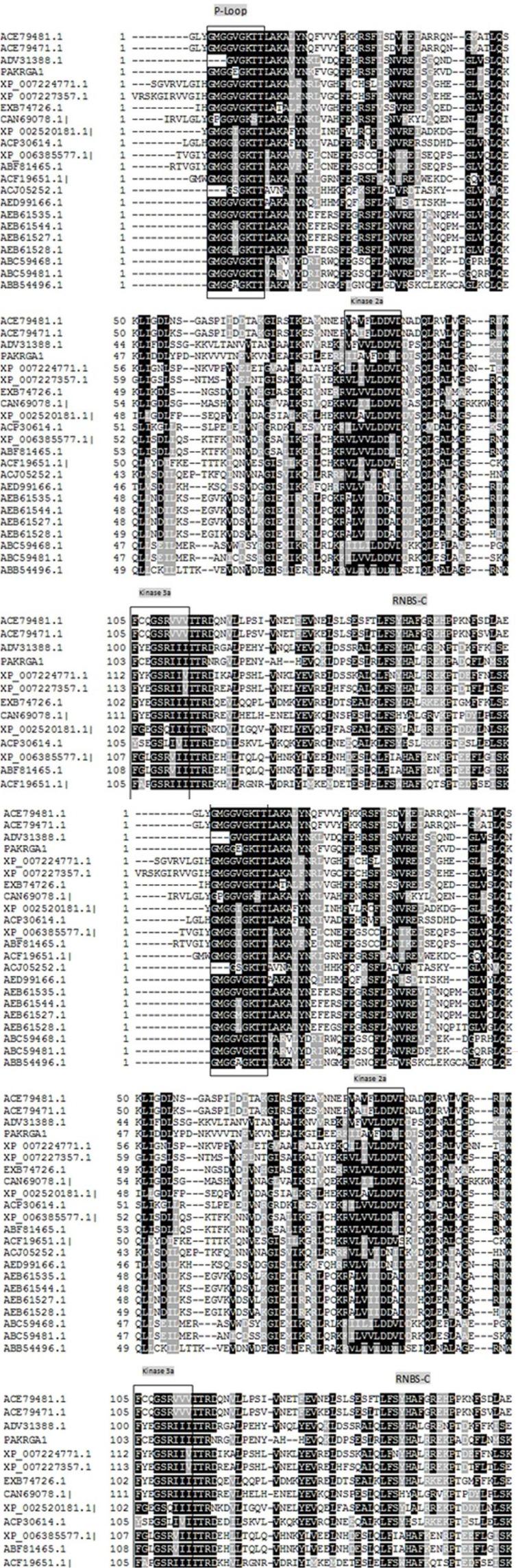 https://cdn.ncbi.nlm.nih.gov/pmc/blobs/6ca3/5019225/88f7bf387ecd/mbrc-3-175-g002.jpg