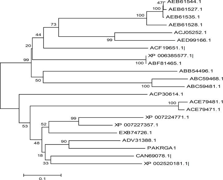 https://cdn.ncbi.nlm.nih.gov/pmc/blobs/6ca3/5019225/d9d461cb8b9b/mbrc-3-175-g003.jpg