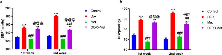 https://cdn.ncbi.nlm.nih.gov/pmc/blobs/6ca4/11985558/319501fb2b2d/12010_2024_5141_Fig1_HTML.jpg