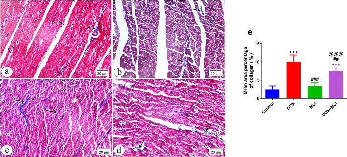 https://cdn.ncbi.nlm.nih.gov/pmc/blobs/6ca4/11985558/8e7294f54bbf/12010_2024_5141_Fig3_HTML.jpg