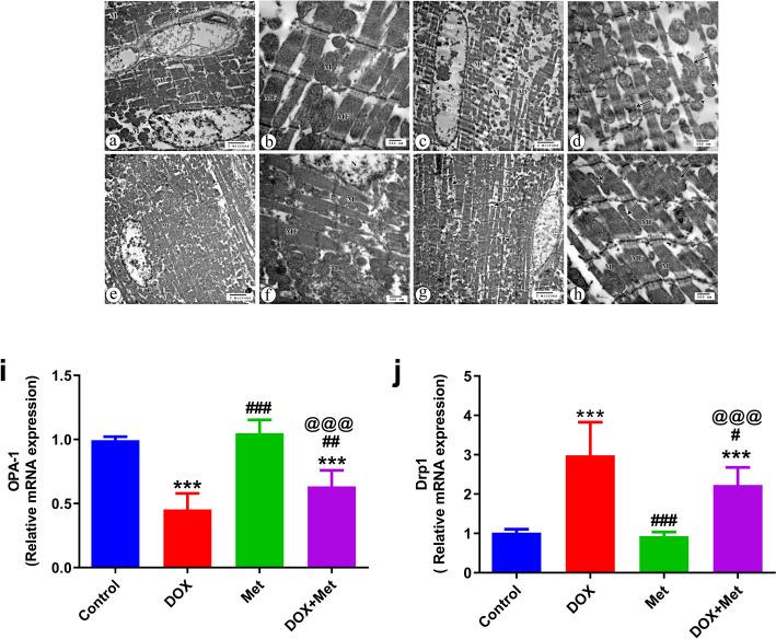 https://cdn.ncbi.nlm.nih.gov/pmc/blobs/6ca4/11985558/97f49dca7320/12010_2024_5141_Fig5_HTML.jpg