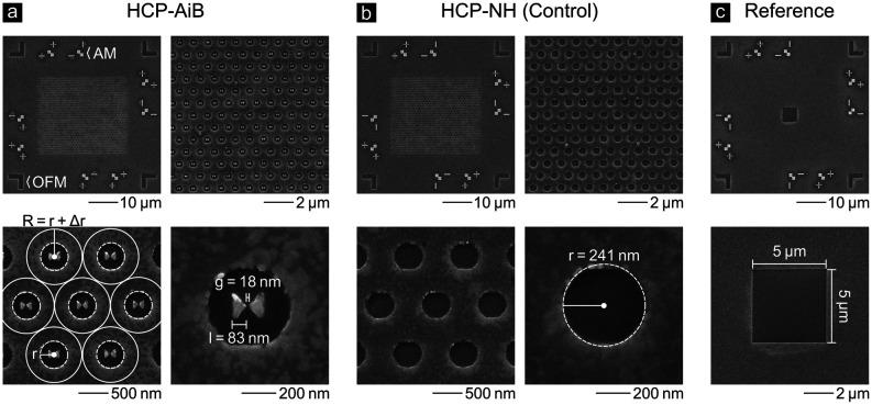 https://cdn.ncbi.nlm.nih.gov/pmc/blobs/6ca6/11310910/457121c87921/am4c04744_0003.jpg