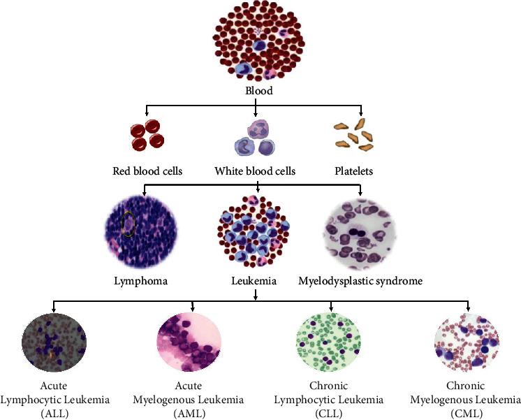 https://cdn.ncbi.nlm.nih.gov/pmc/blobs/6ca7/7732373/2455e709e990/JHE2020-6648574.001.jpg