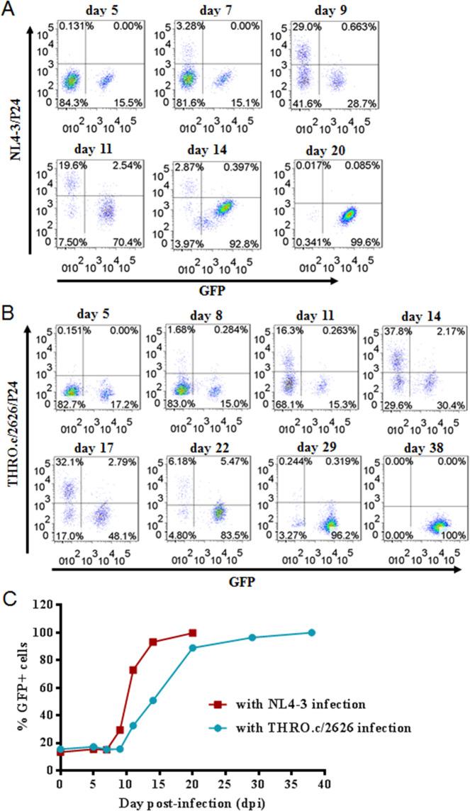 https://cdn.ncbi.nlm.nih.gov/pmc/blobs/6ca9/7812570/820e14312f0d/41423_2020_627_Fig6_HTML.jpg