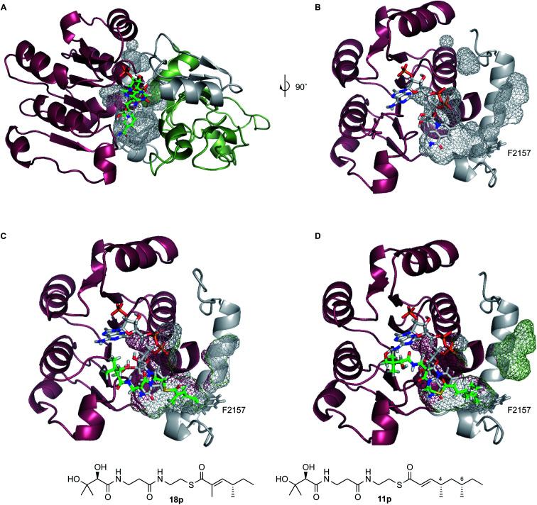 https://cdn.ncbi.nlm.nih.gov/pmc/blobs/6ca9/9053739/c6127df25187/d0ra04026f-f1.jpg