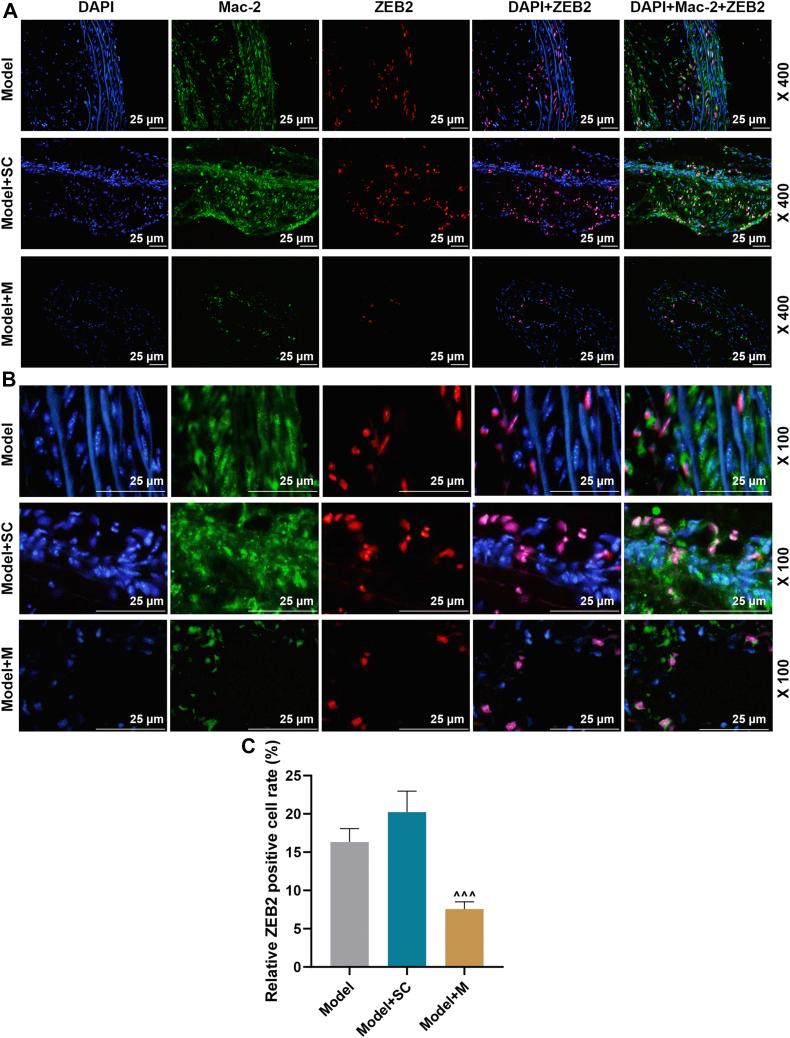 https://cdn.ncbi.nlm.nih.gov/pmc/blobs/6cac/10209027/e6fdbcb4f9e7/gr8.jpg