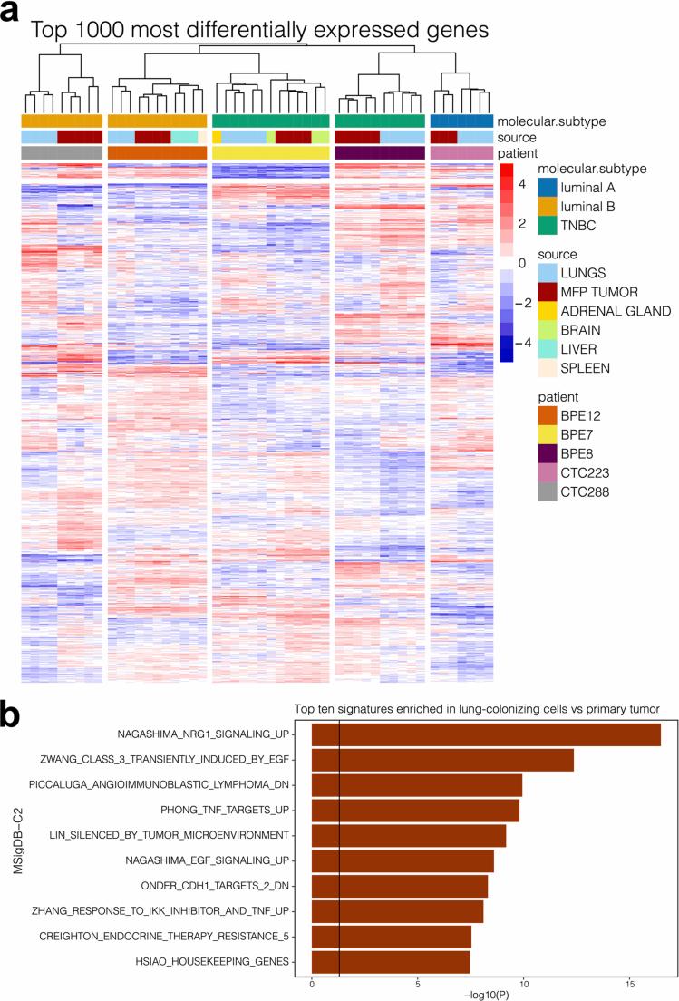https://cdn.ncbi.nlm.nih.gov/pmc/blobs/6caf/11779641/7f74e315b614/43018_2024_882_Fig8_ESM.jpg