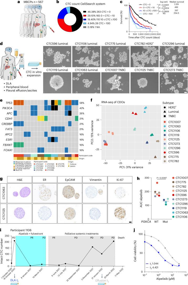 https://cdn.ncbi.nlm.nih.gov/pmc/blobs/6caf/11779641/865f3d6e7fb1/43018_2024_882_Fig2_HTML.jpg