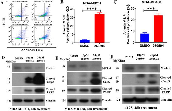 https://cdn.ncbi.nlm.nih.gov/pmc/blobs/6cb0/10363135/41c308ed66b7/41598_2023_37058_Fig5_HTML.jpg