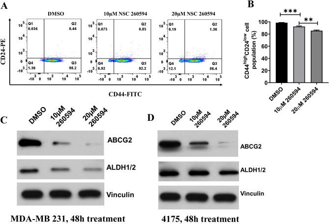 https://cdn.ncbi.nlm.nih.gov/pmc/blobs/6cb0/10363135/e26a6d58e866/41598_2023_37058_Fig4_HTML.jpg