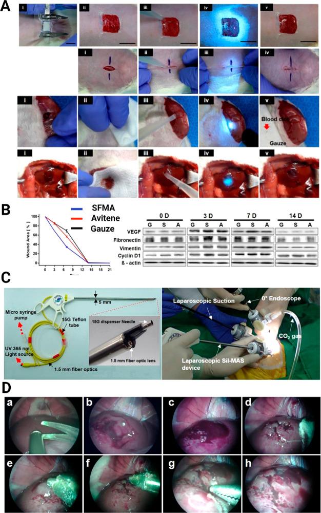 https://cdn.ncbi.nlm.nih.gov/pmc/blobs/6cb1/10336850/c52391ac59ae/bm3c00098_0008.jpg