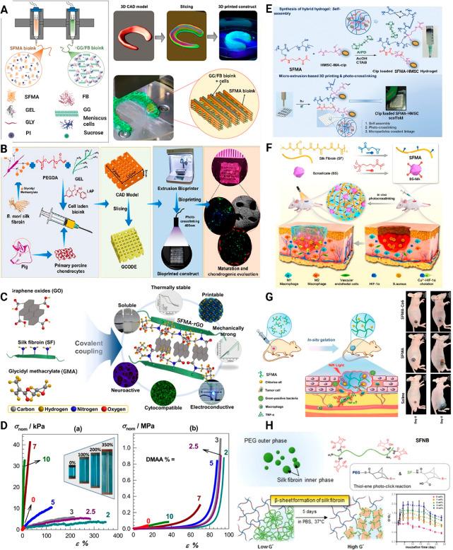 https://cdn.ncbi.nlm.nih.gov/pmc/blobs/6cb1/10336850/d0378f1e4e00/bm3c00098_0005.jpg