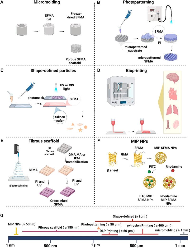 https://cdn.ncbi.nlm.nih.gov/pmc/blobs/6cb1/10336850/fc6cac695d95/bm3c00098_0006.jpg