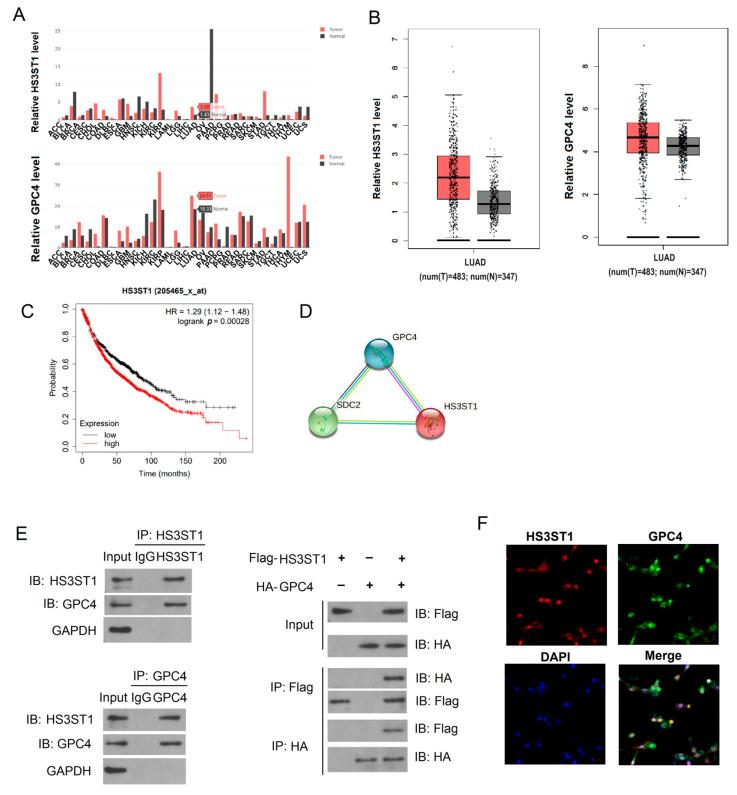 https://cdn.ncbi.nlm.nih.gov/pmc/blobs/6cb2/10886556/6c6aff3c5477/cancers-16-00695-g001.jpg