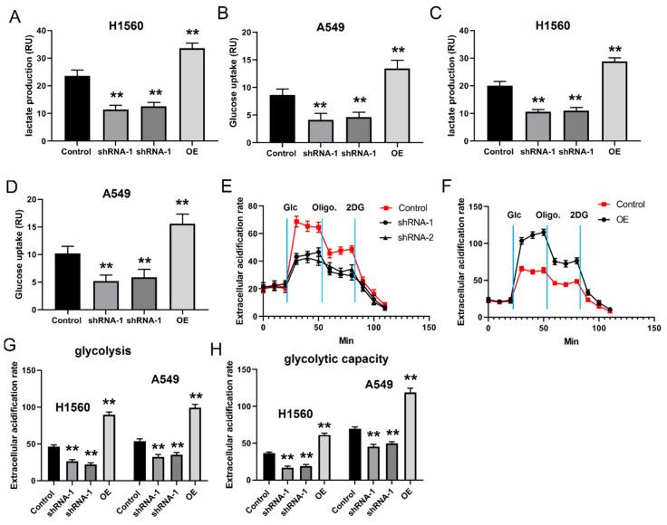 https://cdn.ncbi.nlm.nih.gov/pmc/blobs/6cb2/10886556/c88754863377/cancers-16-00695-g002.jpg