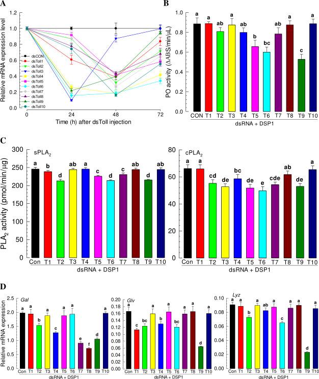 https://cdn.ncbi.nlm.nih.gov/pmc/blobs/6cb3/8023496/ddd0bff619ce/ppat.1009467.g004.jpg
