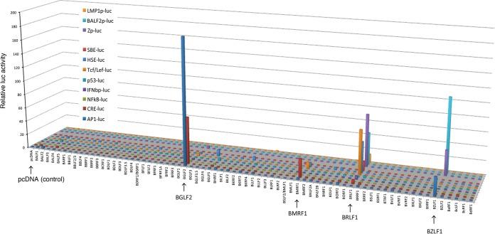 https://cdn.ncbi.nlm.nih.gov/pmc/blobs/6cb6/5917423/70d584b0281e/sph0021825270001.jpg