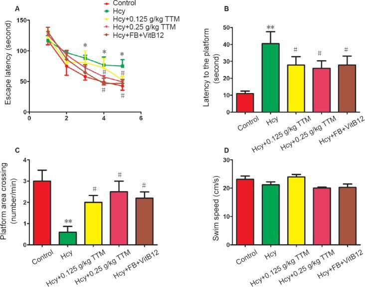 https://cdn.ncbi.nlm.nih.gov/pmc/blobs/6cb6/5998638/42d8275c0ffe/NRR-13-915-g003.jpg