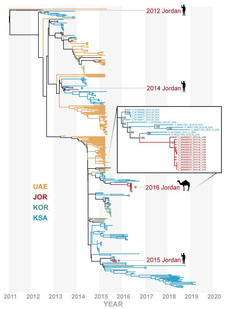 https://cdn.ncbi.nlm.nih.gov/pmc/blobs/6cb8/8067259/40aefd6e328b/viruses-13-00592-g002.jpg