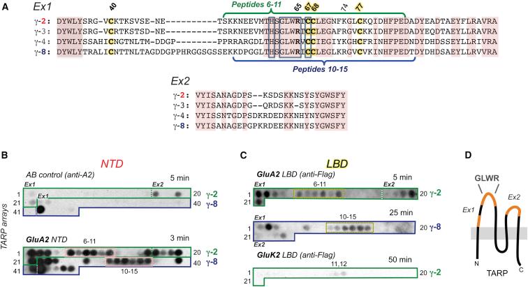 https://cdn.ncbi.nlm.nih.gov/pmc/blobs/6cba/4405707/38b3aa53ac9d/gr5.jpg