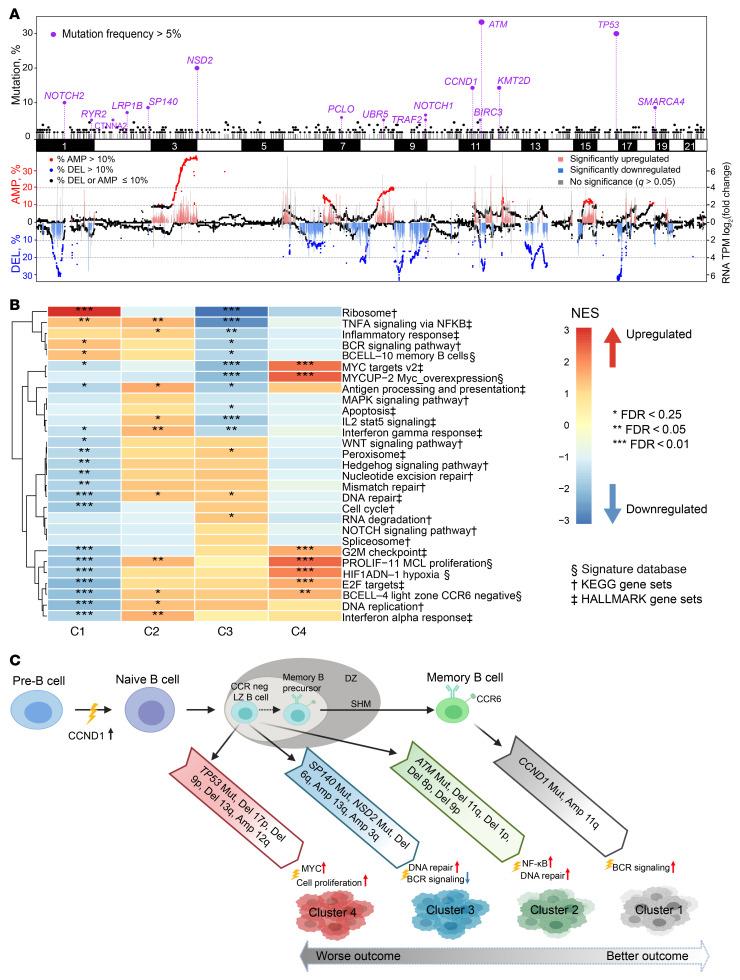 https://cdn.ncbi.nlm.nih.gov/pmc/blobs/6cbb/8803323/6521ea55961c/jci-132-153283-g007.jpg