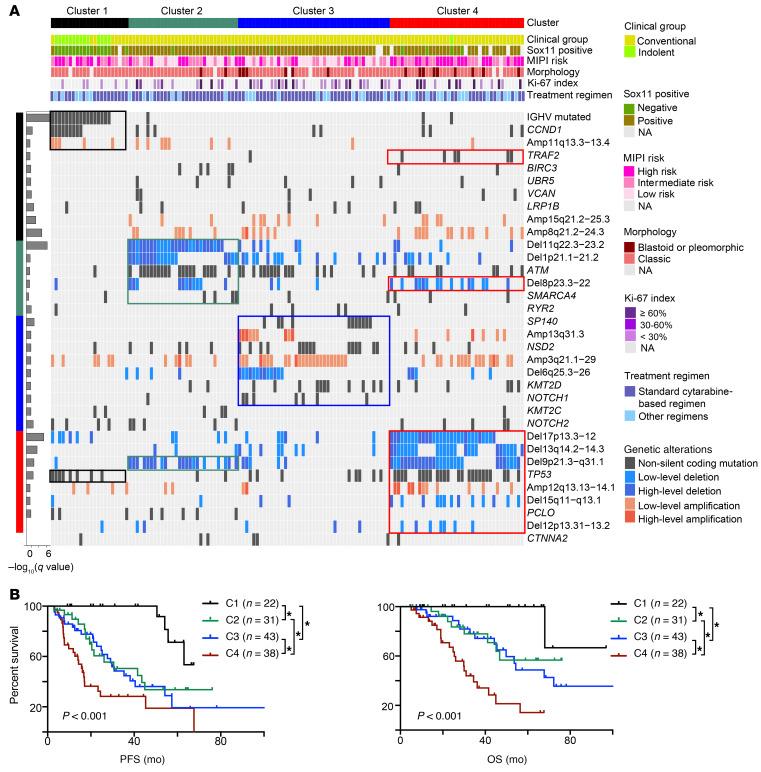 https://cdn.ncbi.nlm.nih.gov/pmc/blobs/6cbb/8803323/95b460b2d6a0/jci-132-153283-g005.jpg