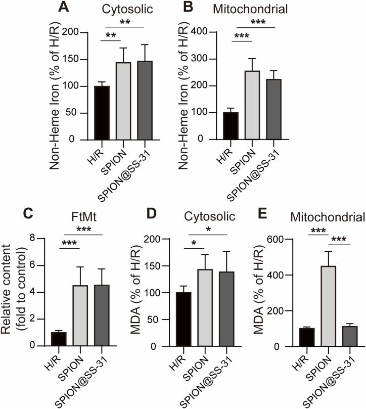 https://cdn.ncbi.nlm.nih.gov/pmc/blobs/6cbc/11538732/d00b082913d9/gr7.jpg