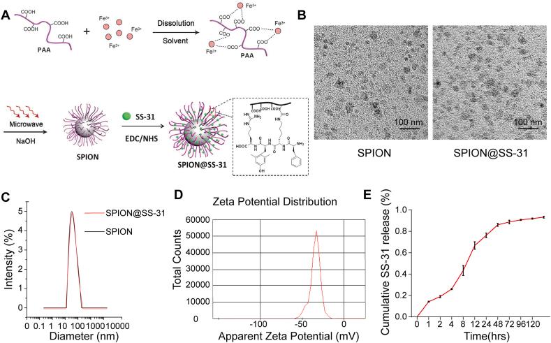 https://cdn.ncbi.nlm.nih.gov/pmc/blobs/6cbc/11538732/dee601f450a4/gr1.jpg