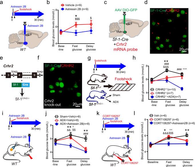 https://cdn.ncbi.nlm.nih.gov/pmc/blobs/6cbe/11452707/20a7b6ac2532/41467_2024_52815_Fig3_HTML.jpg