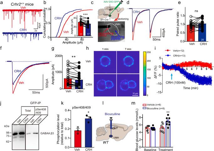 https://cdn.ncbi.nlm.nih.gov/pmc/blobs/6cbe/11452707/d65b8c051d20/41467_2024_52815_Fig5_HTML.jpg