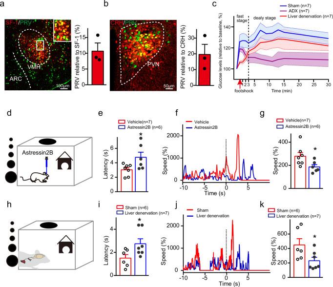 https://cdn.ncbi.nlm.nih.gov/pmc/blobs/6cbe/11452707/ddf4aef46a1e/41467_2024_52815_Fig7_HTML.jpg