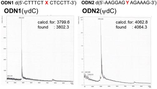 https://cdn.ncbi.nlm.nih.gov/pmc/blobs/6cbf/11912953/03fd957e4c31/CPZ1-5-0-g004.jpg