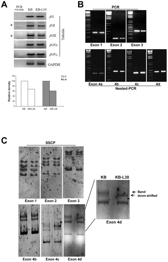 https://cdn.ncbi.nlm.nih.gov/pmc/blobs/6cbf/2933234/c50e5fbc9063/pone.0012564.g003.jpg
