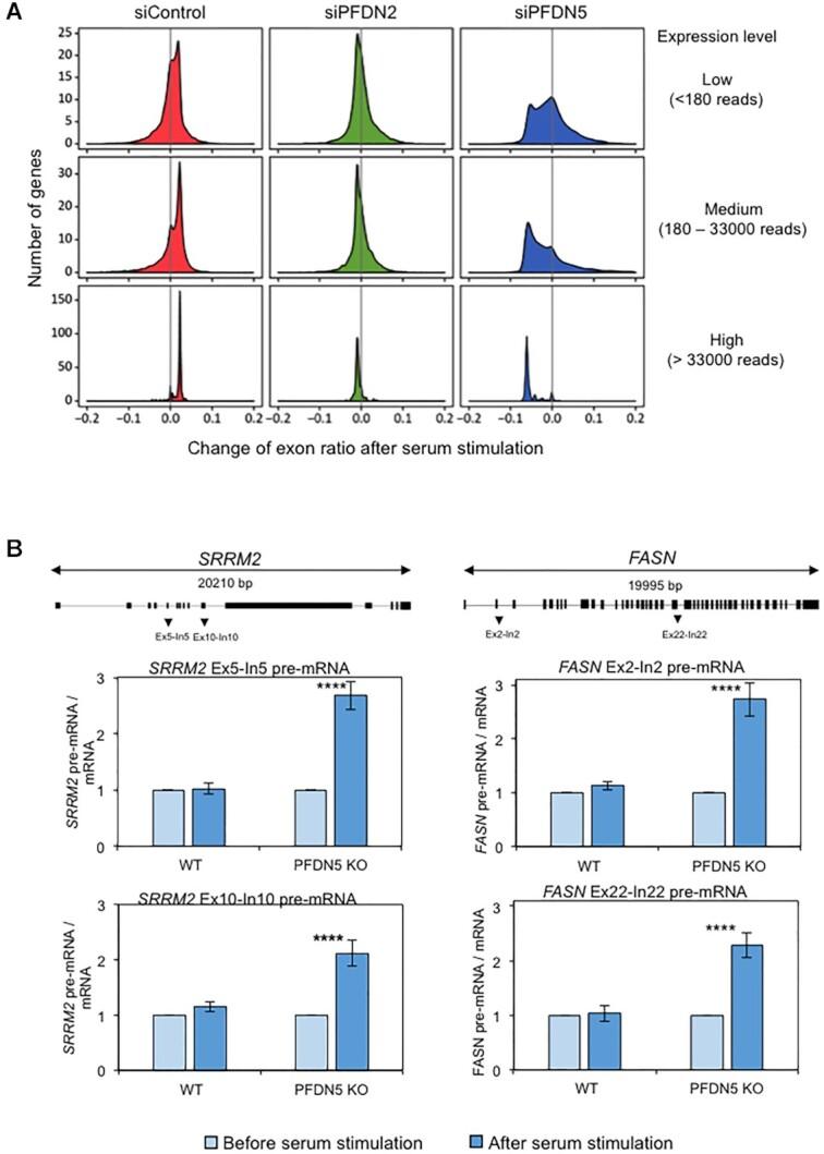 https://cdn.ncbi.nlm.nih.gov/pmc/blobs/6cbf/8216451/9c58703776a4/gkab446fig3.jpg