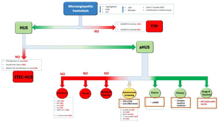https://cdn.ncbi.nlm.nih.gov/pmc/blobs/6cc0/11855336/91b7ce38de78/idr-17-00014-g001.jpg