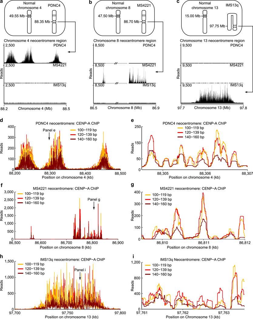 https://cdn.ncbi.nlm.nih.gov/pmc/blobs/6cc1/3760417/4344bca46ea2/nihms453767f3.jpg