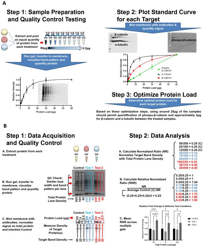 https://cdn.ncbi.nlm.nih.gov/pmc/blobs/6cc3/9585080/3a269a19b6d1/41598_2022_22294_Fig3_HTML.jpg