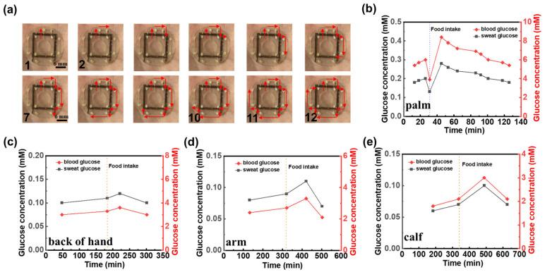 https://cdn.ncbi.nlm.nih.gov/pmc/blobs/6cc4/12190536/108d07756b6b/biosensors-15-00342-g005.jpg