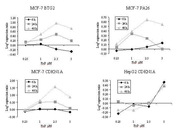https://cdn.ncbi.nlm.nih.gov/pmc/blobs/6cc4/1621085/fcd00347b67f/1471-2164-7-260-8.jpg