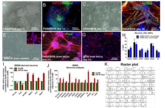 https://cdn.ncbi.nlm.nih.gov/pmc/blobs/6cc4/5608344/bf07d315e97a/jove-124-55702-3.jpg