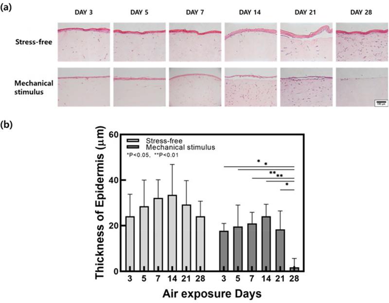 https://cdn.ncbi.nlm.nih.gov/pmc/blobs/6cc6/11042069/3df315d3ee0b/KTIB_A_2221632_F0006_OC.jpg