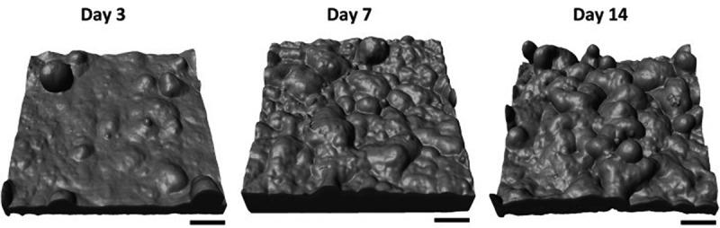 https://cdn.ncbi.nlm.nih.gov/pmc/blobs/6cc6/11042069/429b0d98db9d/KTIB_A_2221632_F0009_B.jpg
